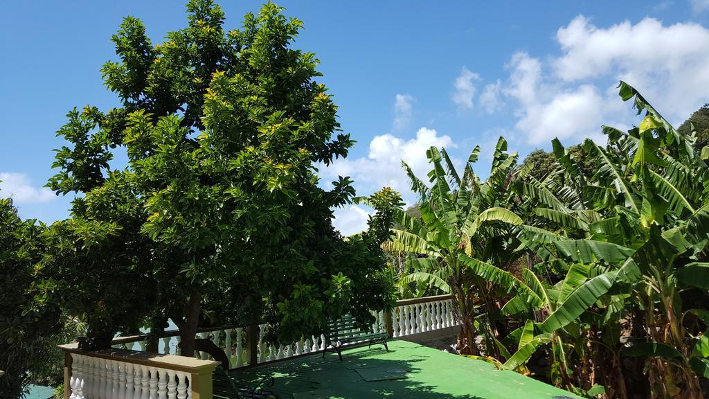 Apartamento Hibiscus House Seychelles Self Catering Victoria Exterior foto