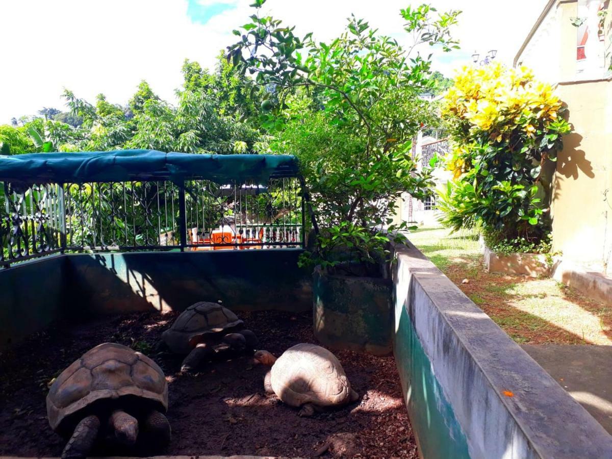 Apartamento Hibiscus House Seychelles Self Catering Victoria Exterior foto